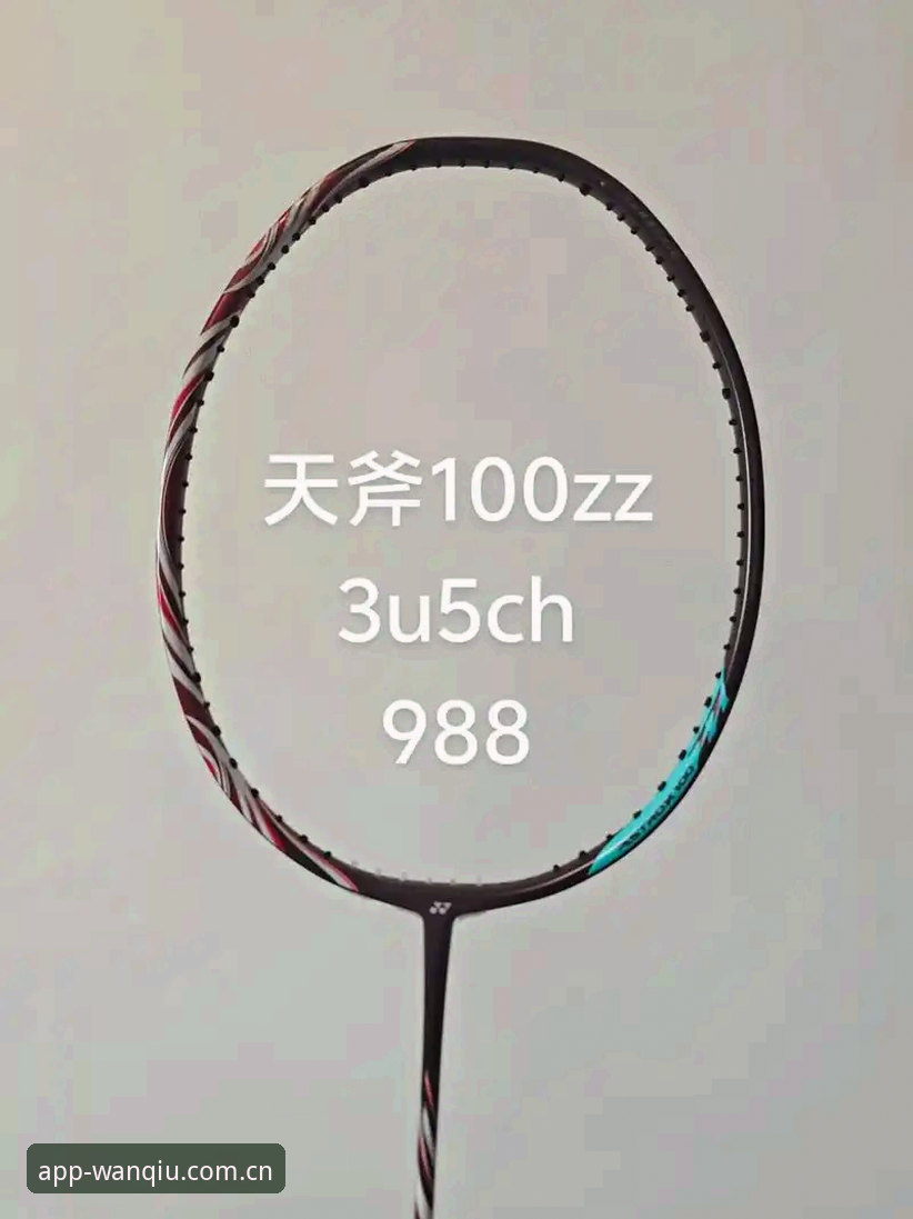 玩球体育PC版对比 玩球体育PC版与手机版对比使用教程:从设备选择到功能详解